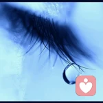 ャó綄镁箹锭oˇ的头像