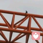 不分手，只丧偶的头像