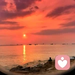 心理顾问的头像