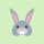 兔子🐰