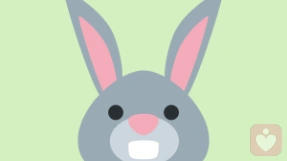 兔子🐰
