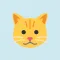 灵动小猫🐱